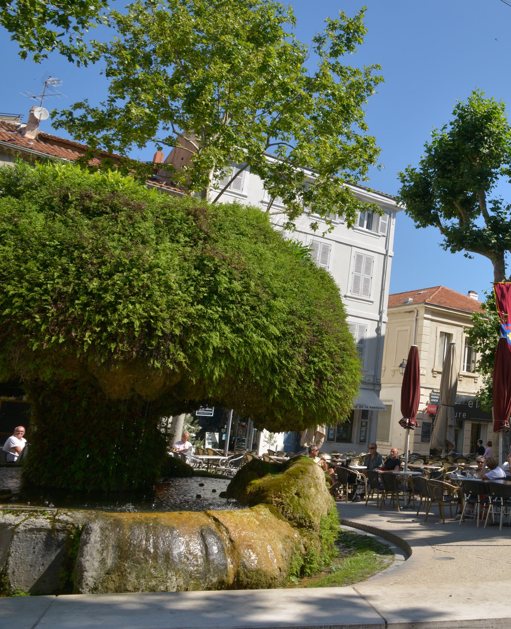 La Fontaine Moussue Ville de SalondeProvence